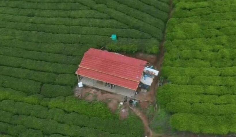 Hotel Wild And Free Farm Stay