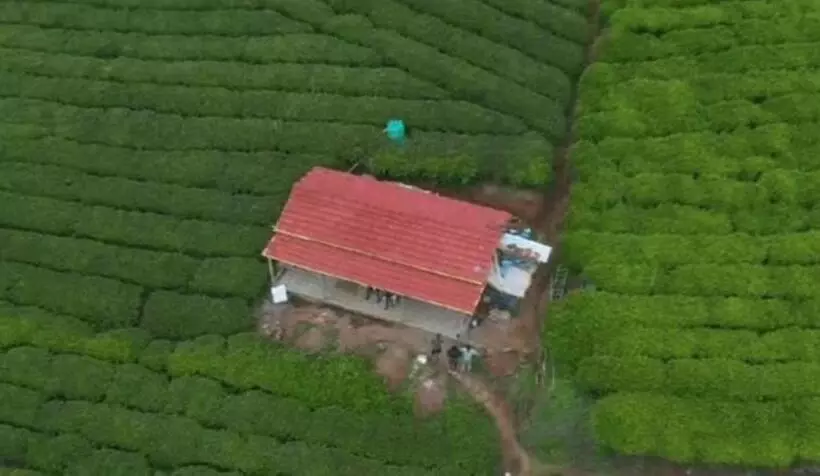ホテル Wild And Free Farm Stay