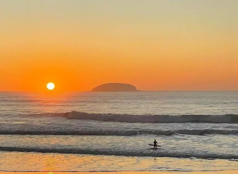 ペンション Beachside Bedstay