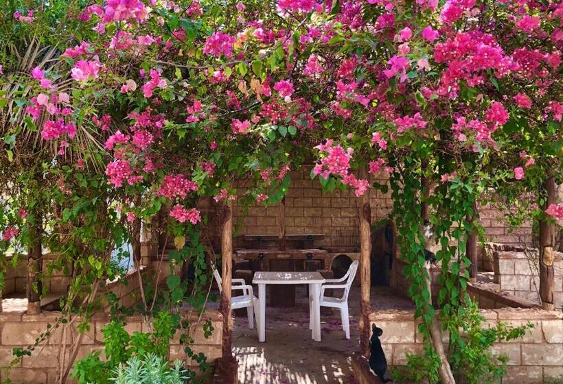 پانسیون Le Garden Ghardaia
