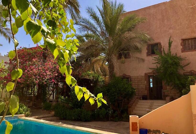 پانسیون Le Garden Ghardaia