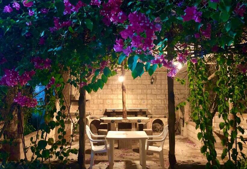 پانسیون Le Garden Ghardaia