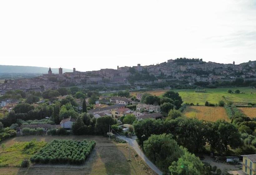 B&b L Ulivo Incantato