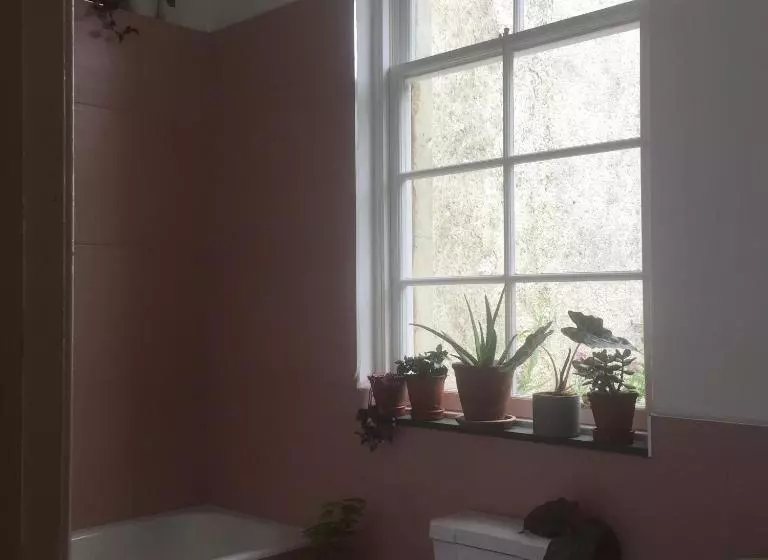 Aamiaismajoitus (B&B) Gilchristland Organic Farm Retreat