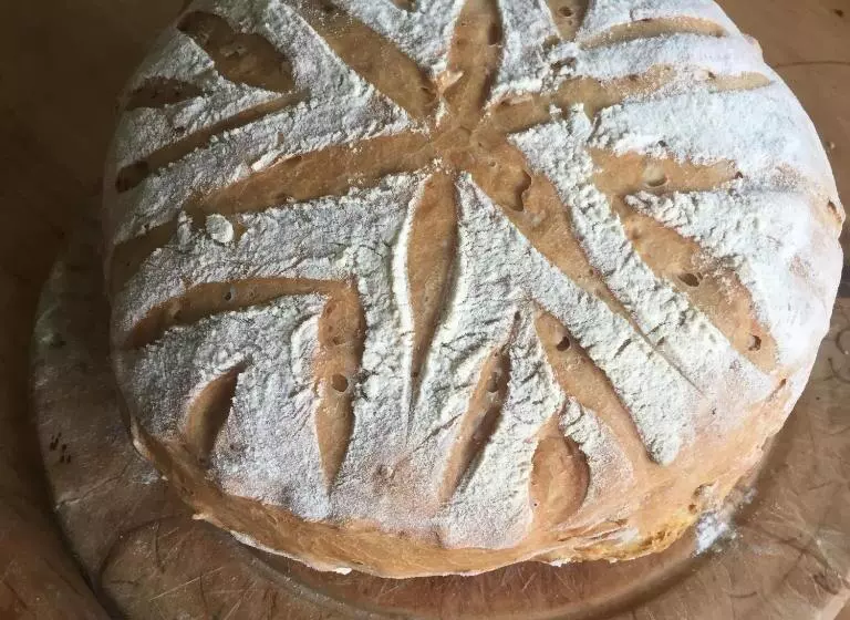 Aamiaismajoitus (B&B) Gilchristland Organic Farm Retreat