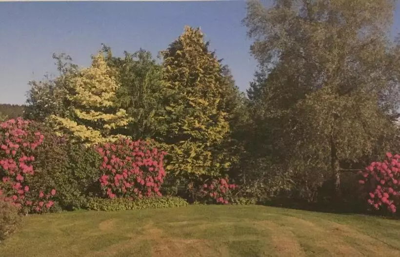 Aamiaismajoitus (B&B) Gilchristland Organic Farm Retreat