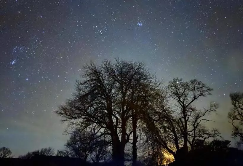 Aamiaismajoitus (B&B) Gilchristland Organic Farm Retreat