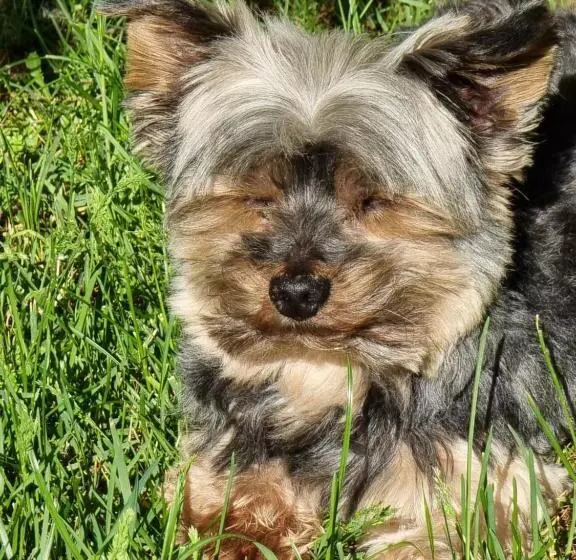 Aamiaismajoitus (B&B) La Garenne Chambre D  Hôtes