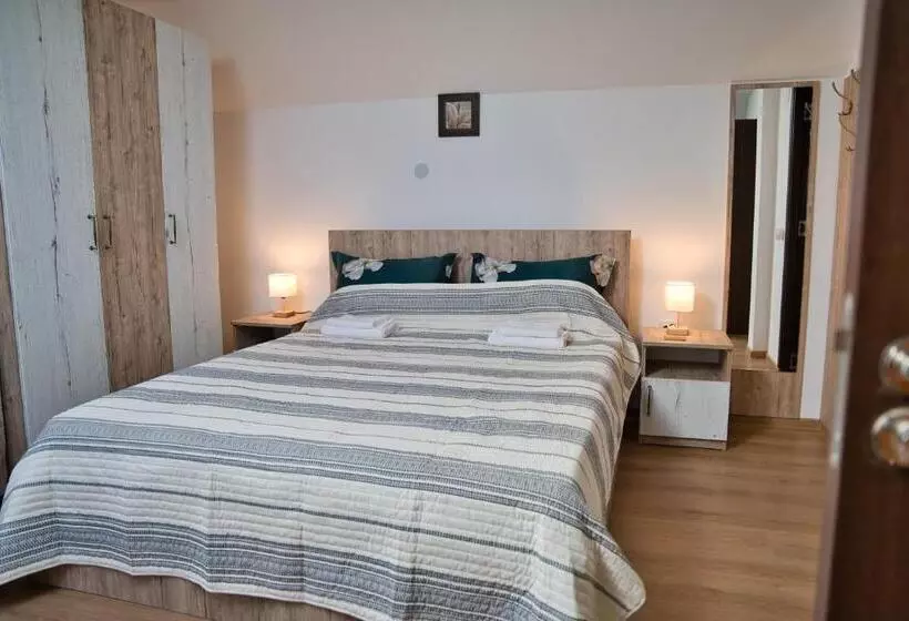 ペンション Perla Argesului, Cazare, Ciubar, Piscina, Lift, Pensiuni, Hotel, Cabana, Vila, Munte, Transfăgarasan