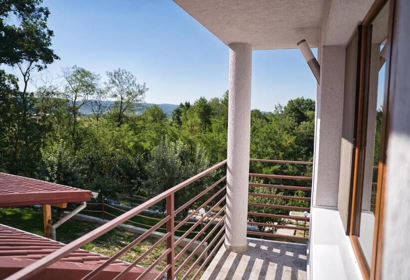 膳宿费 Perla Argesului, Cazare, Ciubar, Piscina, Lift, Pensiuni, Hotel, Cabana, Vila, Munte, Transfăgarasan