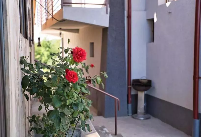 ペンション Perla Argesului, Cazare, Ciubar, Piscina, Lift, Pensiuni, Hotel, Cabana, Vila, Munte, Transfăgarasan