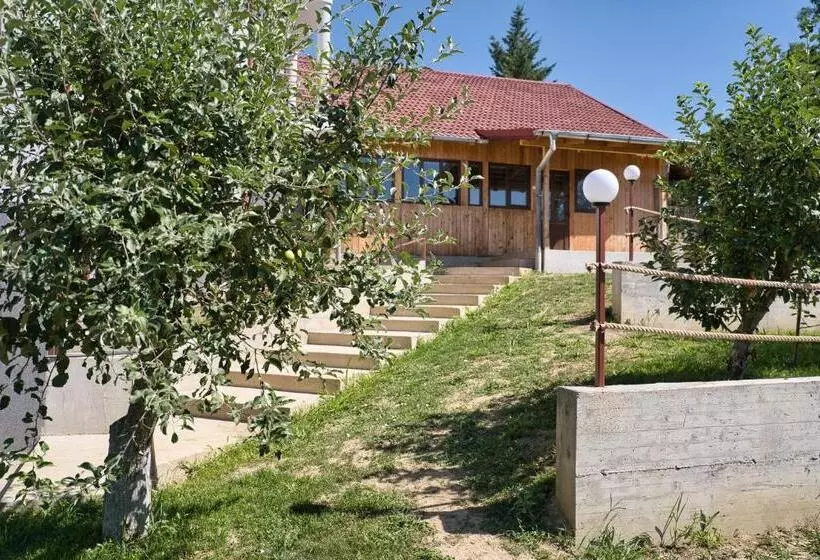 ペンション Perla Argesului, Cazare, Ciubar, Piscina, Lift, Pensiuni, Hotel, Cabana, Vila, Munte, Transfăgarasan