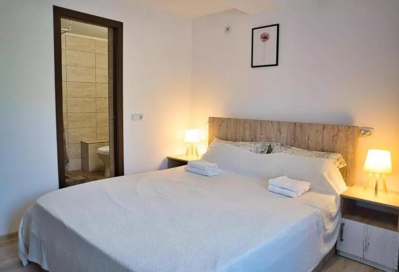 ペンション Perla Argesului, Cazare, Ciubar, Piscina, Lift, Pensiuni, Hotel, Cabana, Vila, Munte, Transfăgarasan