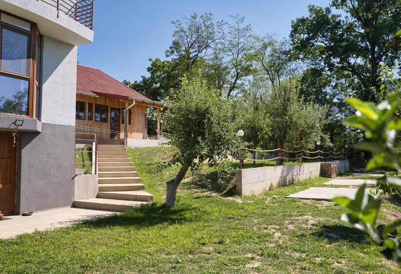 膳宿费 Perla Argesului, Cazare, Ciubar, Piscina, Lift, Pensiuni, Hotel, Cabana, Vila, Munte, Transfăgarasan