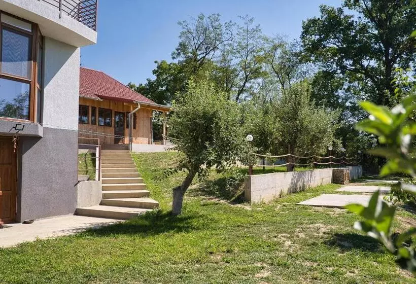 ペンション Perla Argesului, Cazare, Ciubar, Piscina, Lift, Pensiuni, Hotel, Cabana, Vila, Munte, Transfăgarasan