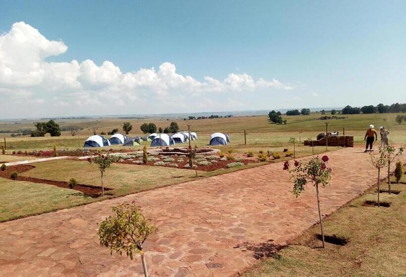 호텔 Carolina Resort