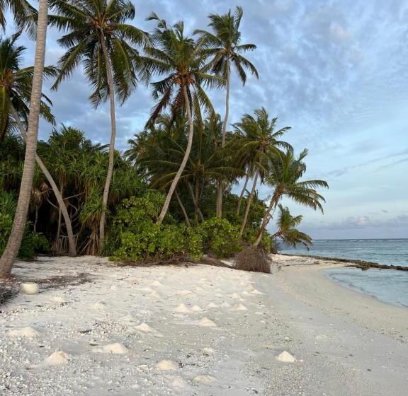 هتل Dive And Sleep All Inclusive Diving Guesthouse 3 Dives Per Day