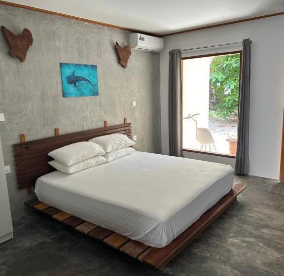 هتل Dive And Sleep All Inclusive Diving Guesthouse 3 Dives Per Day