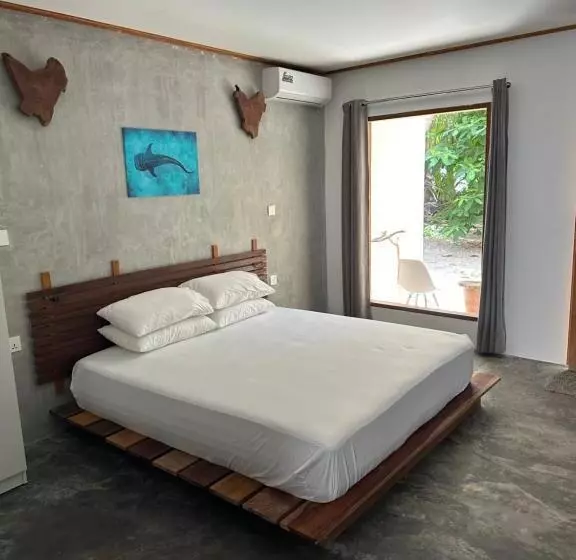 هتل Dive And Sleep   All Inclusive Diving Guesthouse   3 Dives Per Day