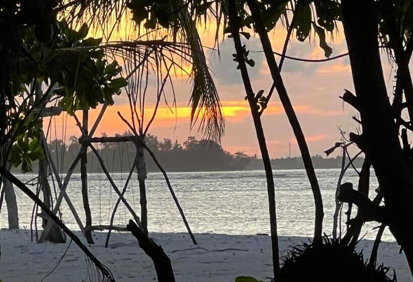 هتل Dive And Sleep All Inclusive Diving Guesthouse 3 Dives Per Day