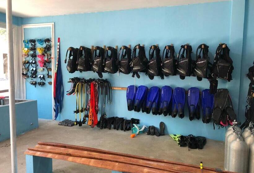 هتل Dive And Sleep All Inclusive Diving Guesthouse 3 Dives Per Day