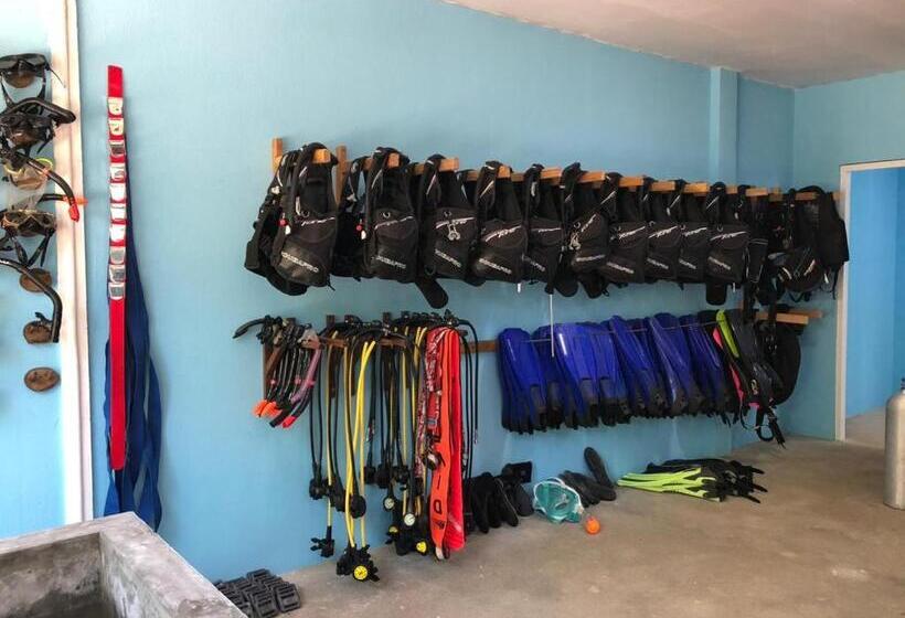 هتل Dive And Sleep All Inclusive Diving Guesthouse 3 Dives Per Day