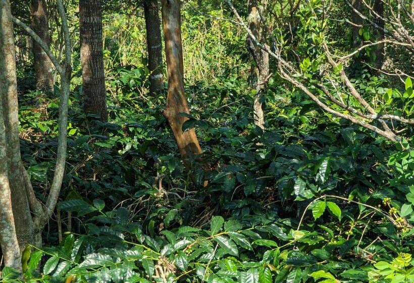 Hotelli Highlanders Farm Stay