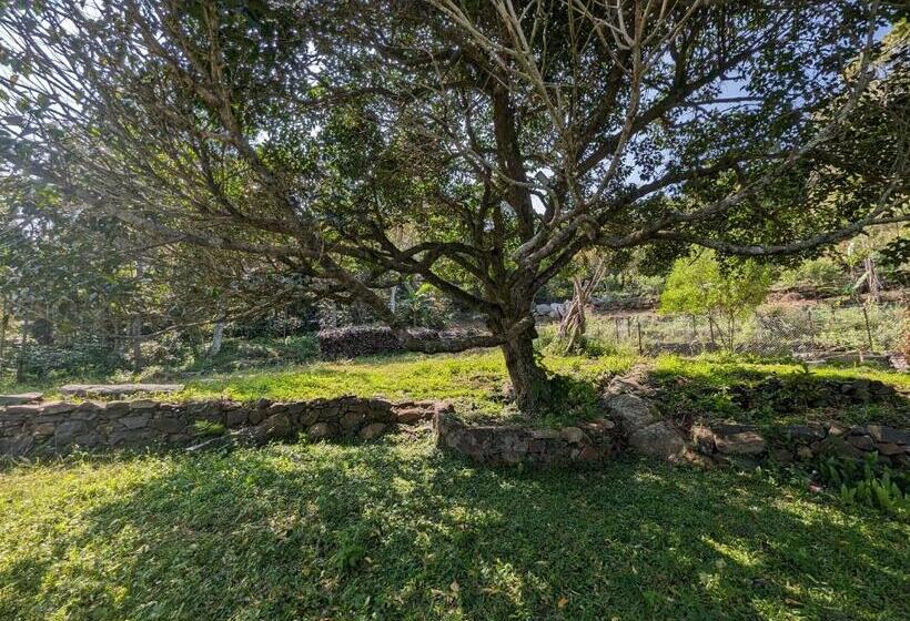 Hotelli Highlanders Farm Stay