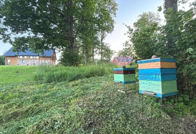 پانسیون Kipeni Guest House