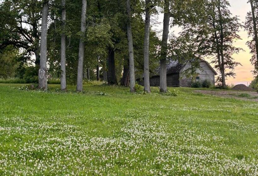 پانسیون Kipeni Guest House