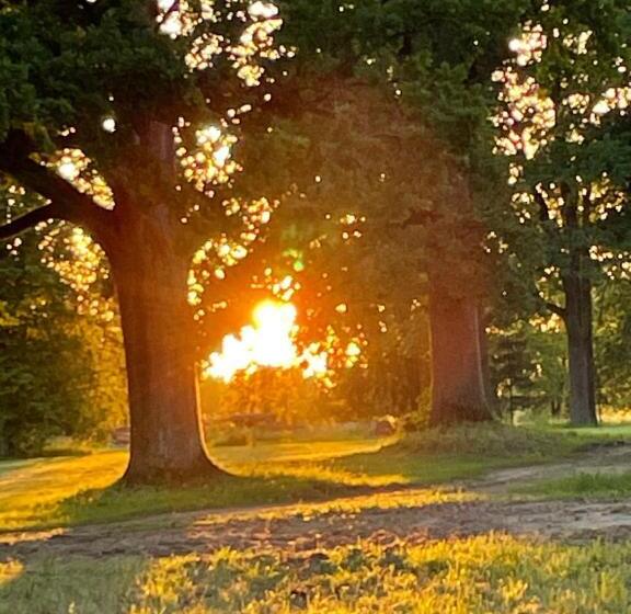 پانسیون Kipeni Guest House