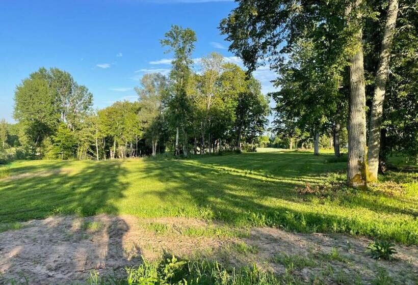 پانسیون Kipeni Guest House