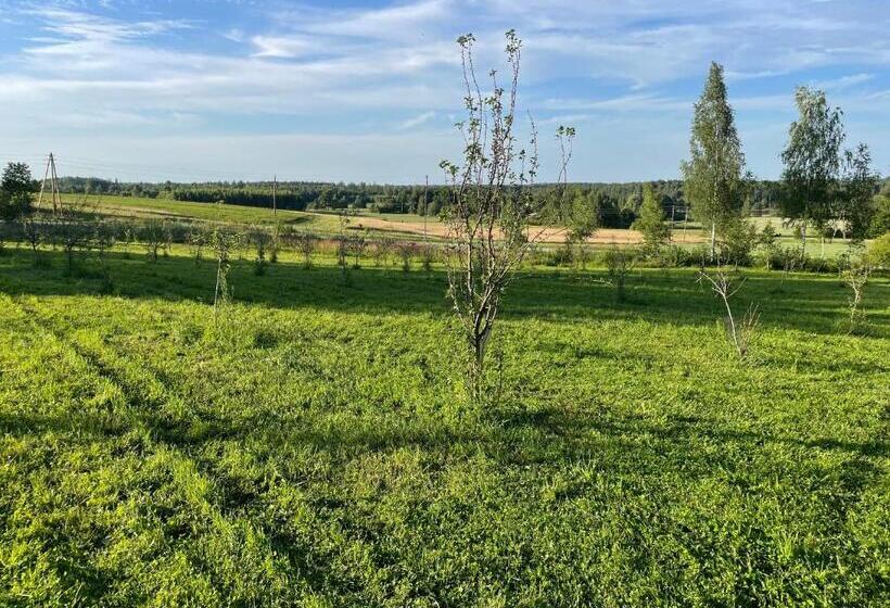 پانسیون Kipeni Guest House