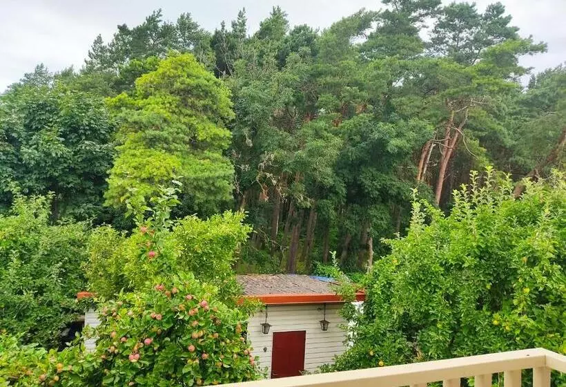 پانسیون Kopa Cabana