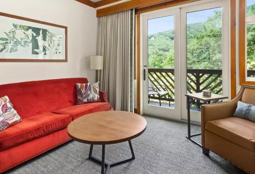 Lomakeskus 1315 Studio The Lodge At Spruce Peak 3rd Floor