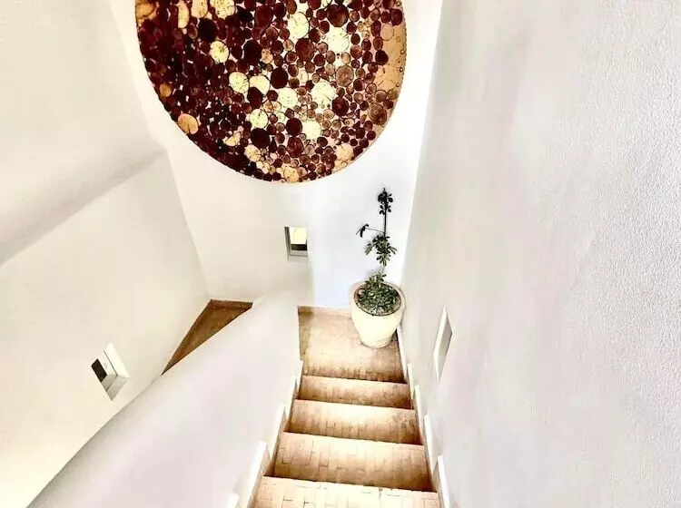 ریاض The Little Hara