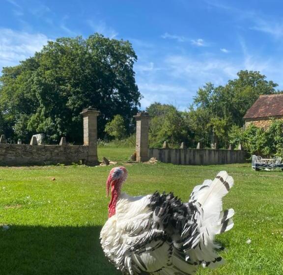 تختخواب و صبحانه Chateau De Grandsagne