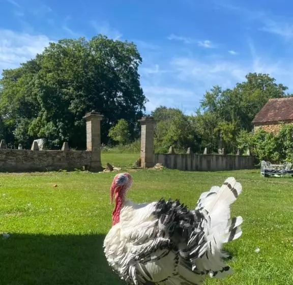 Aamiaismajoitus (B&B) Chateau De Grandsagne