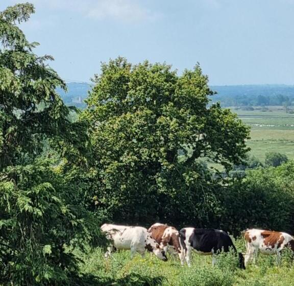 住宿加早餐  La Maison Du Mont
