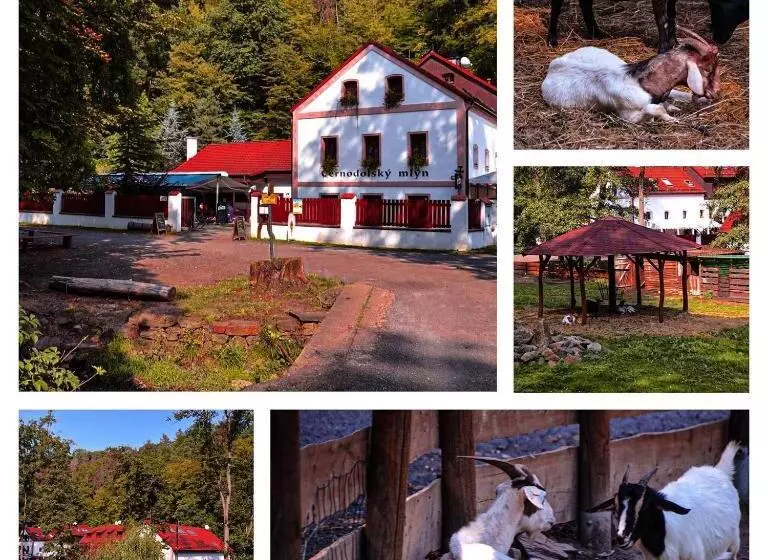 Majatalo černodolský Mlýn