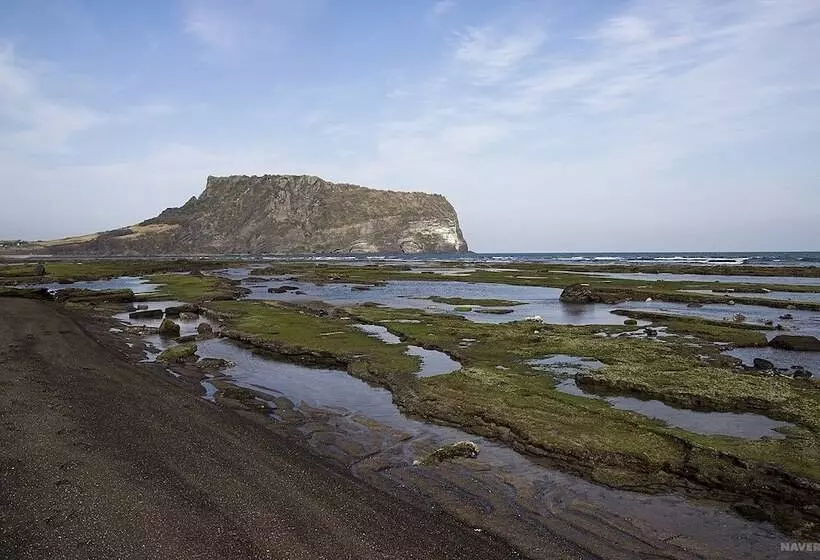 ホテル Golden Tulip Jeju Seongsan