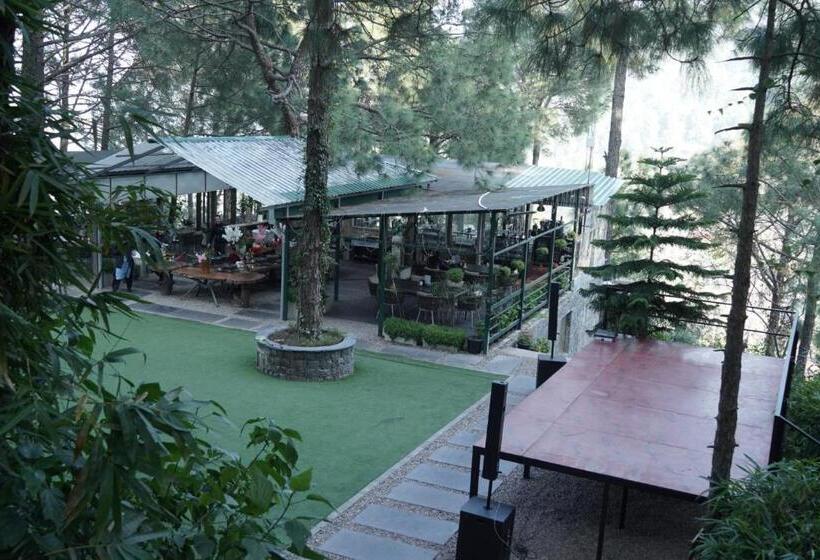 Kasauli Hills Resort