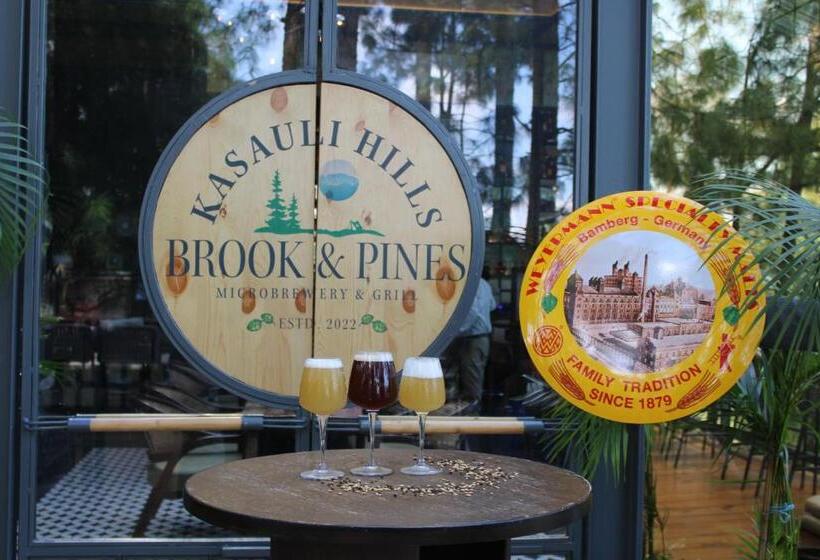 Kasauli Hills Resort