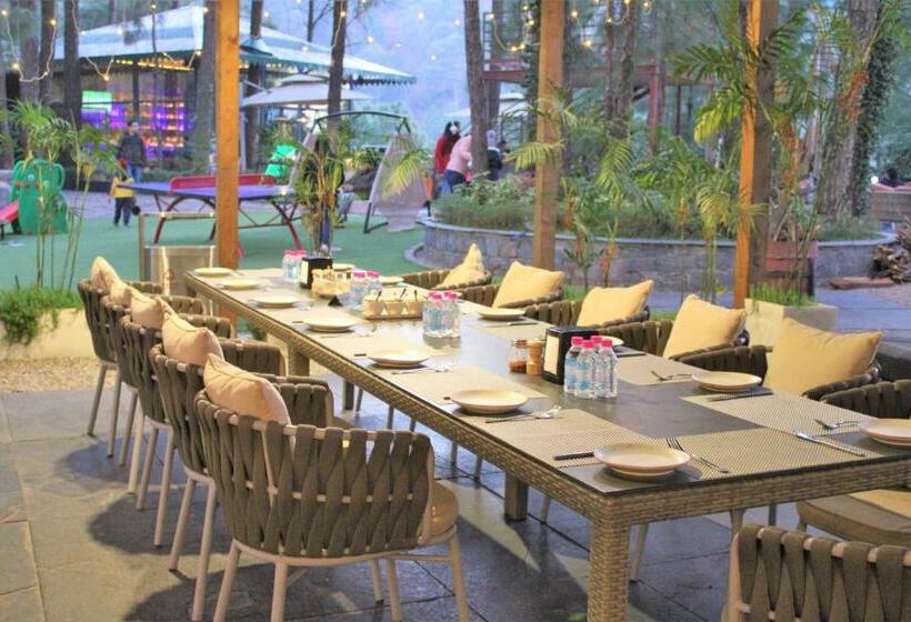 Kasauli Hills Resort