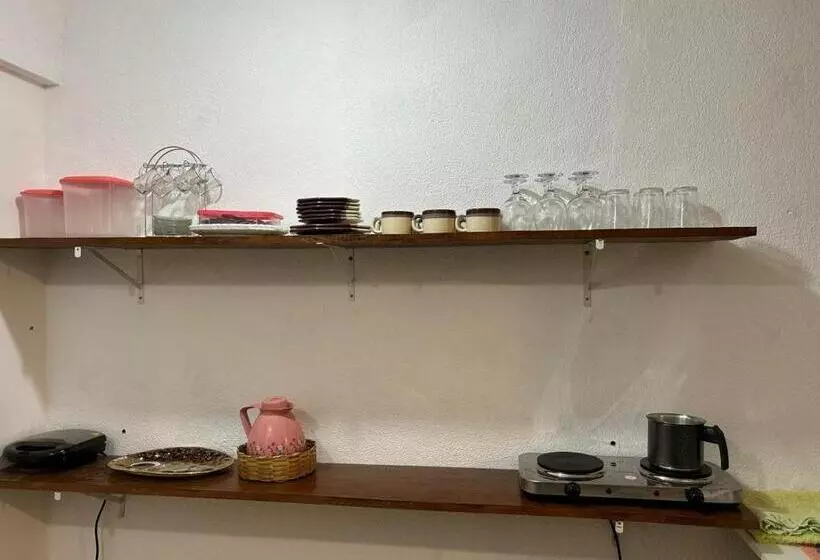 ユースホステル Loft Reale