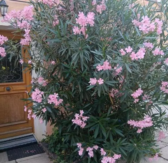 ベッドアンドブレックファースト Chambre D Hôtes, à La Nuitée