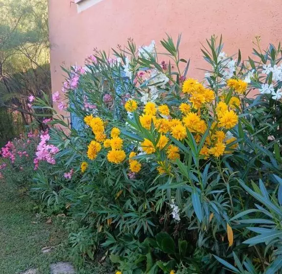 ベッドアンドブレックファースト Chambre D Hôtes, à La Nuitée