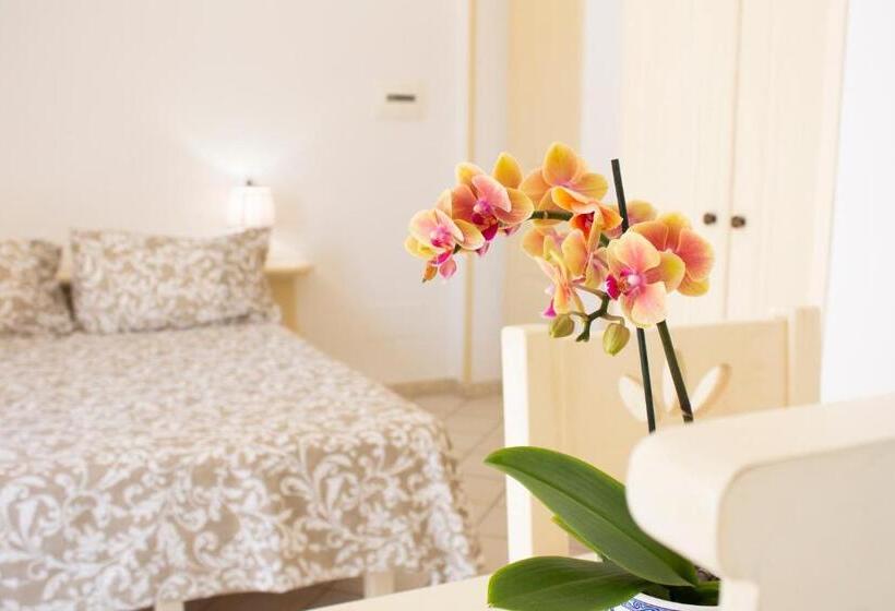 La Casa Del Sole Beachfront B&b Anzio