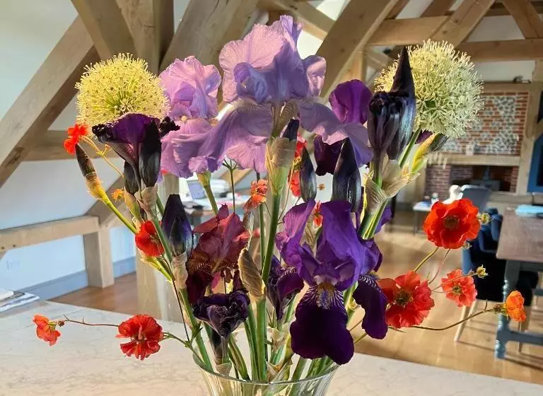 Aamiaismajoitus (B&B) Orchard Dene