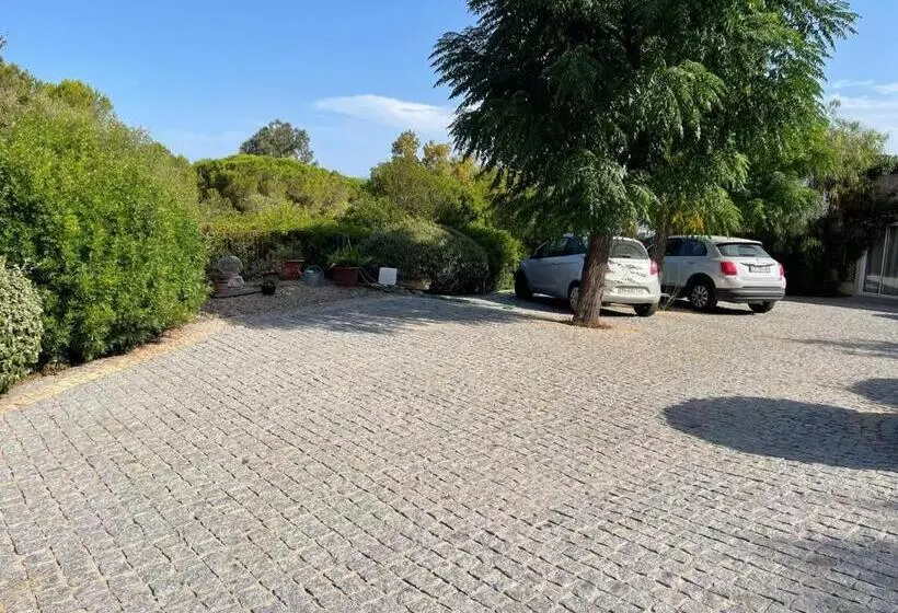 تختخواب و صبحانه Villa L Usciata